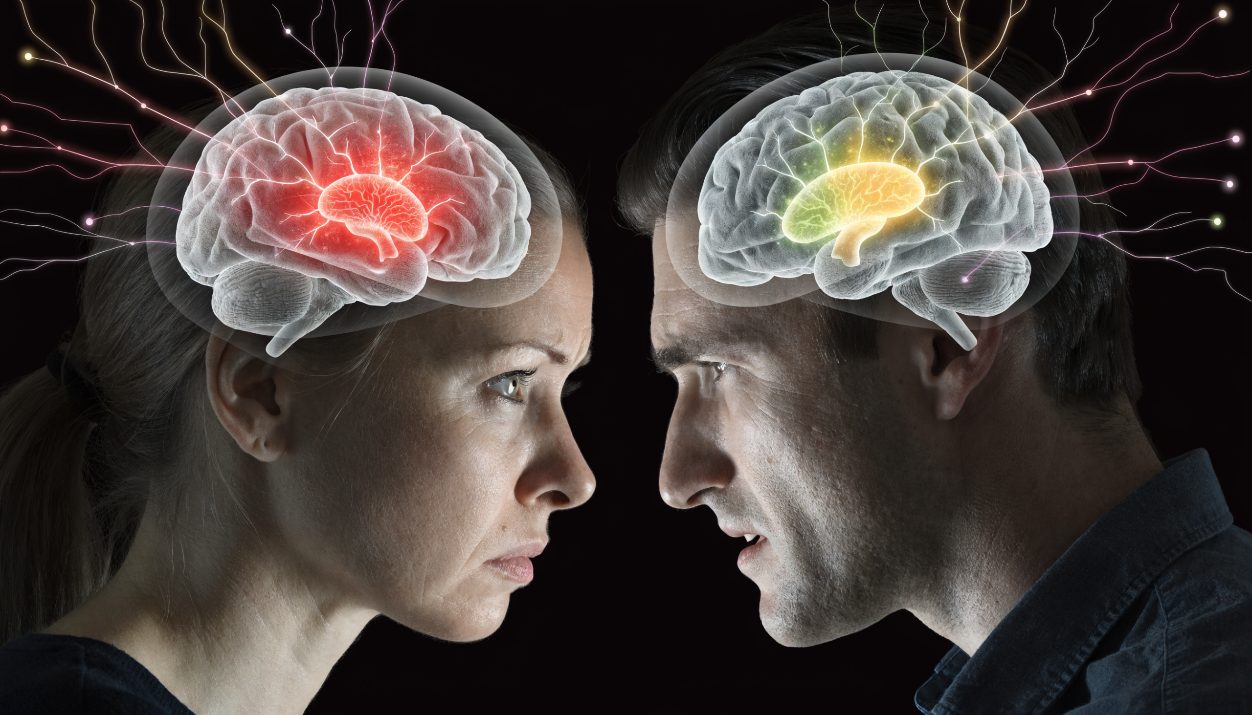 neurobiologia konfliktu psychoterapia par